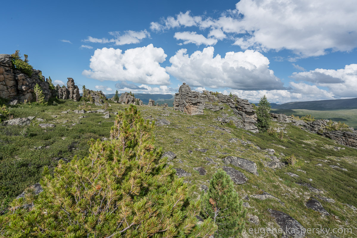 Tyungur (Тюнгур)
